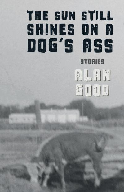 The Sun Still Shines on a Dog’s Ass