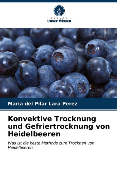 Konvektive Trocknung und Gefriertrocknung von Heidelbeeren