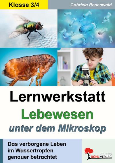 Lernwerkstatt Lebewesen unter dem Mikroskop