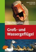 Groß- und Wassergeflügel