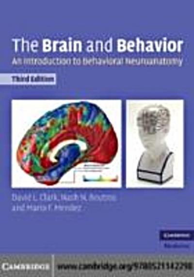 Brain and Behavior