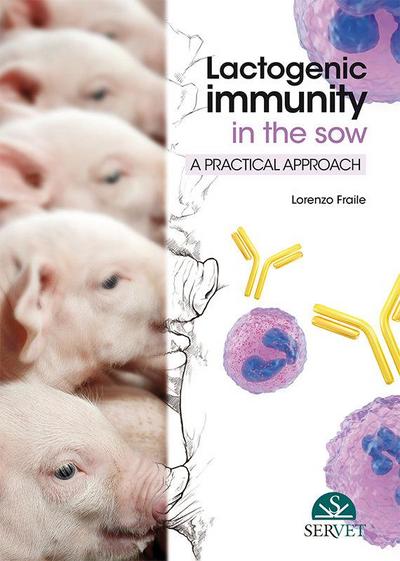 Lactogenic Immunity in the Sow: A Practical Approach