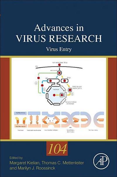 Virus Entry