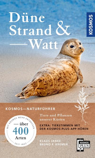 Düne, Strand und Watt