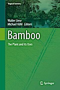 Bamboo