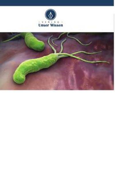Eine Studie zu Faktoren, die mit der Prävalenz von Helicobacter pylori in Zusammenhang stehen