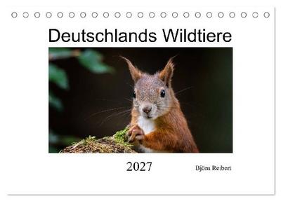 Deutschlands Wildtiere (Tischkalender 2027 DIN A5 quer), CALVENDO Monatskalender