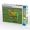 in den Farben Donegals angemaltes Schaf (Puzzle)