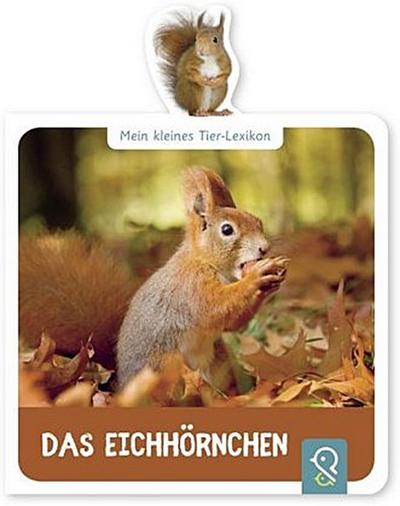 Mein kleines Tier-Lexikon - Das Eichhörnchen