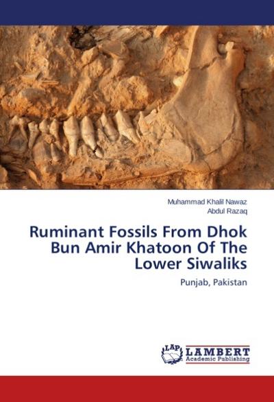 Ruminant Fossils From Dhok Bun Amir Khatoon Of The Lower Siwaliks