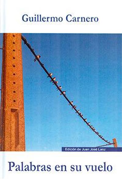 Palabras en su vuelo