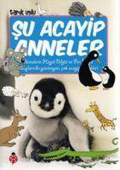Su Acayip Anneler