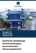 Zweifache dreiphasige Permanentmagnet-Synchronmoto