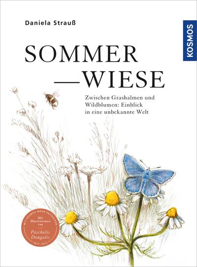 Sommerwiese: Zwischen Grashalmen und Wildblumen: Einblick in eine unbekannte Welt