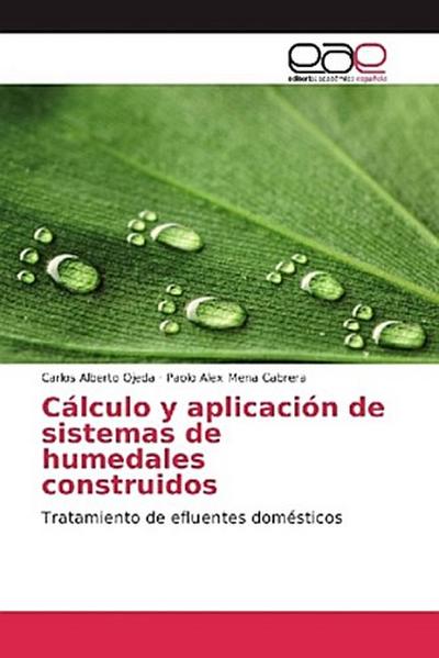 Cálculo y aplicación de sistemas de humedales construidos