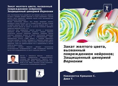 Zakat zheltogo cweta, wyzwannyj powrezhdeniem nejronow; Zaschischennyj cineriej Vernonii