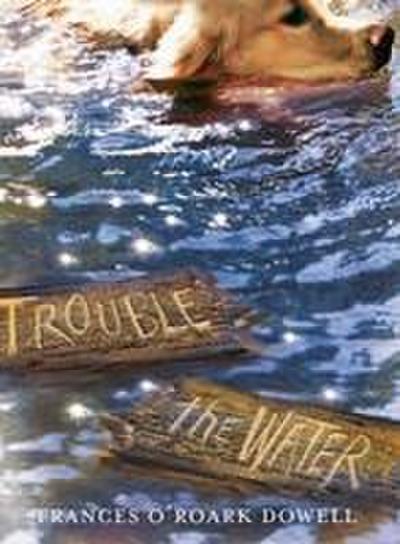 Trouble the Water