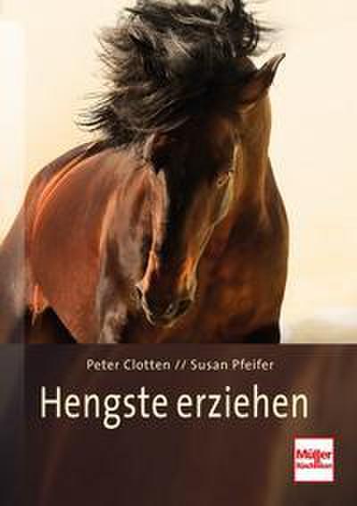 Hengste erziehen