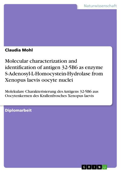 Molecular characterization and identification of antigen 32-5B6 as enzyme S-Adenosyl-L-Homocystein-Hydrolase from Xenopus laevis oocyte nuclei