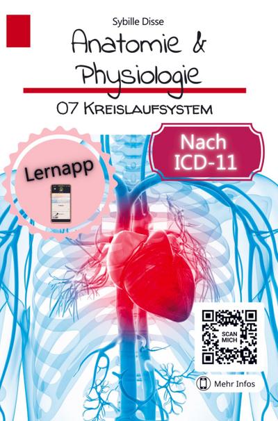 Anatomie & Physiologie Band 07: Kreislaufsystem