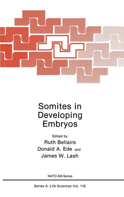 Somites in Developing Embryos