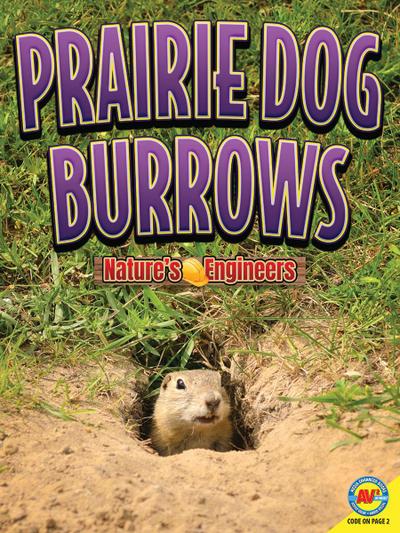 Prairie Dog Burrows