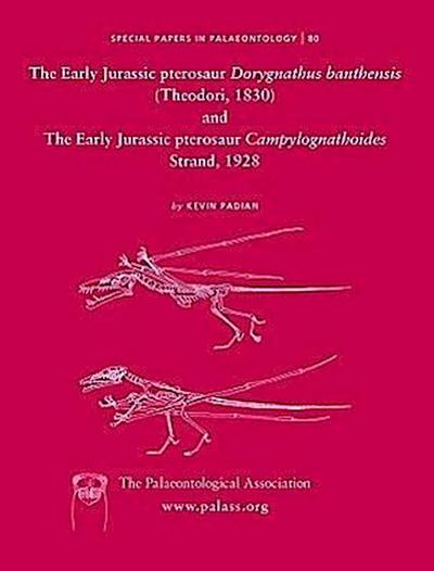 The Early Jurassic Pterosaur Dorygnathus Banthensis (Theodori, 1830) and the Early Jurassic Pterosaur Campylognathoides Strand, 1928