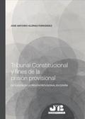 Tribunal Constitucional y fines de la prisión prov