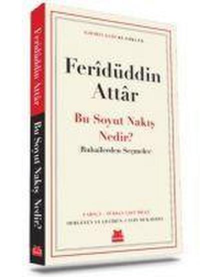Bu Soyut Nakis Nedir