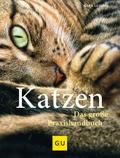 Katzen