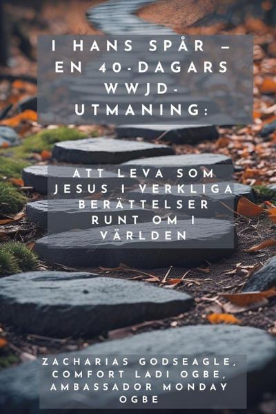 I Hans Spår - En 40-dagars WWJD-utmaning -  Att leva som Jesus i verkliga berättelser runt om i världen
