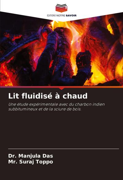 Lit fluidisé à chaud