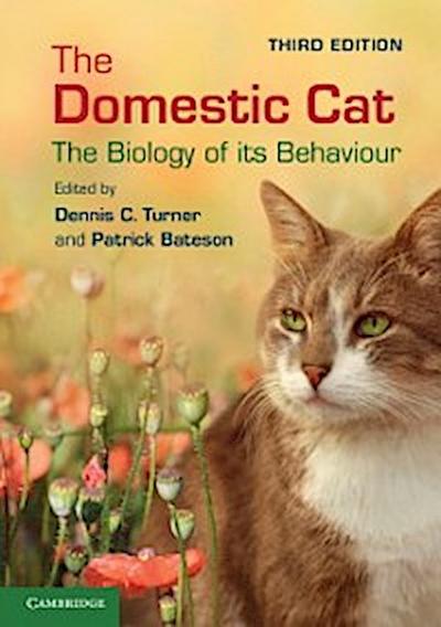 Domestic Cat