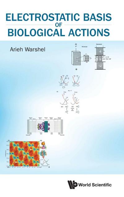 ELECTROSTATIC BASIS OF BIOLOGICAL ACTIONS