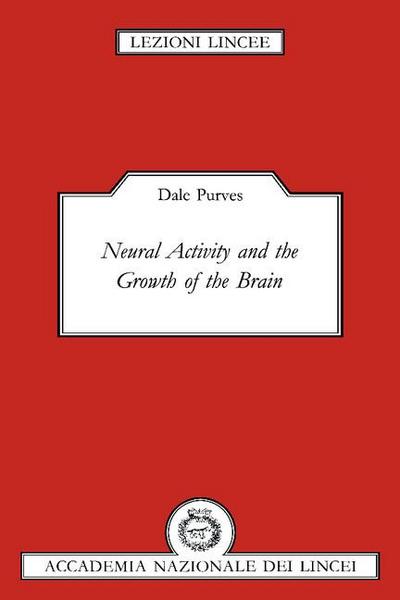 Neural Activity and the Growth of the Brain