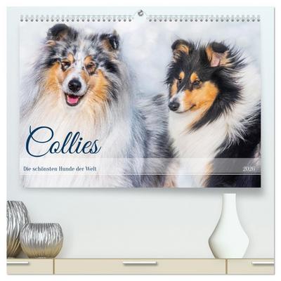 Collies - die schönsten Hunde der Welt (hochwertiger Premium Wandkalender 2026 DIN A2 quer), Kunstdruck in Hochglanz
