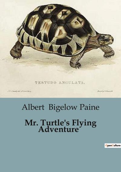 Mr. Turtle’s Flying Adventure