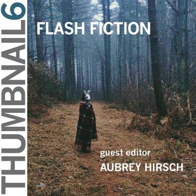 Thumbnail 6: Flash Fiction