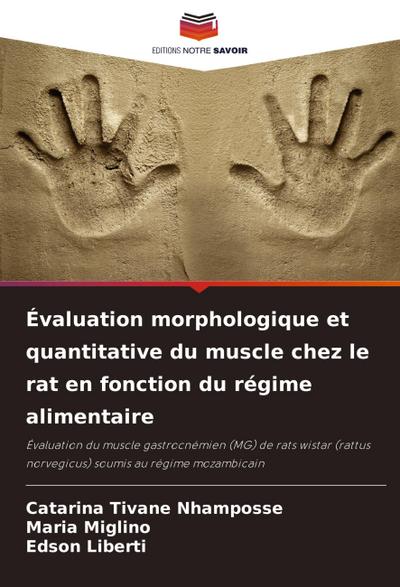 Évaluation morphologique et quantitative du muscle chez le rat en fonction du régime alimentaire