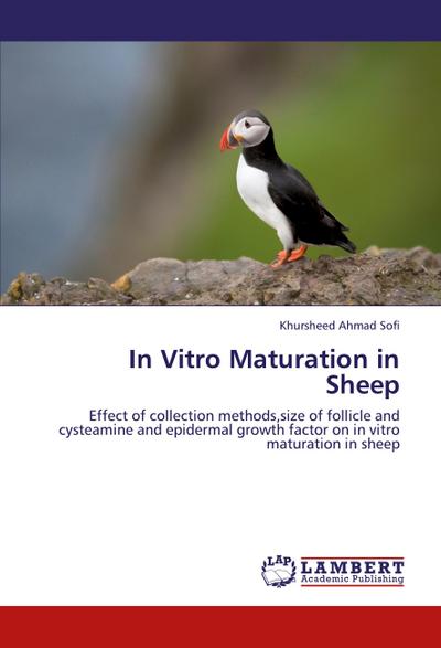 In Vitro Maturation in Sheep