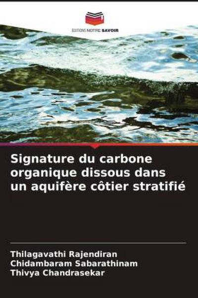Signature du carbone organique dissous dans un aquifère côtier stratifié
