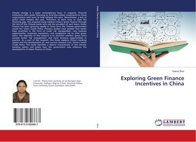 Exploring Green Finance Incentives in China