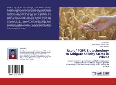 Use of PGPR Biotechnology to Mitigate Salinity Stress in Wheat