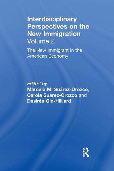 The New Immigrant in the American Economy