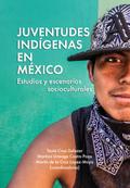 Juventudes indígenas en México