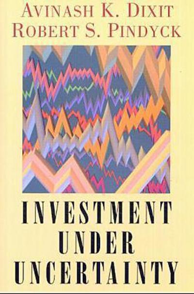 Investment Under Uncertainty