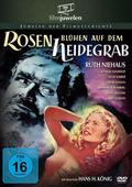 Rosen blühen auf dem Heidegrab