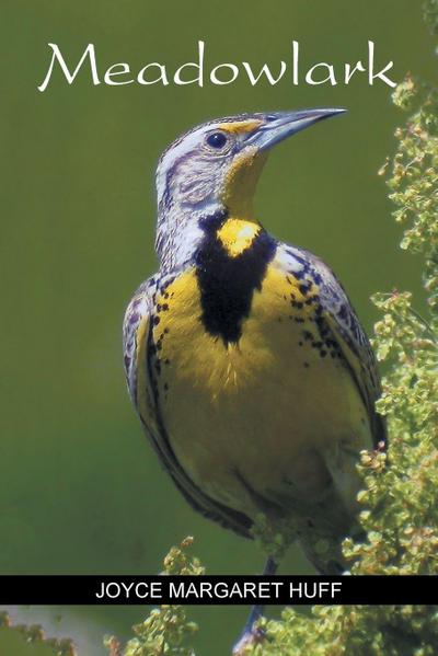 Meadowlark
