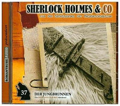 Sherlock Holmes & Co - Der Jungbrunnen. Tl.2, 1 Audio-CD