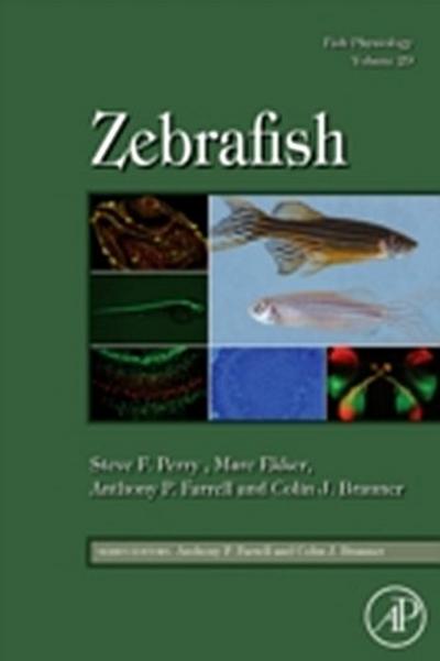 Fish Physiology: Zebrafish